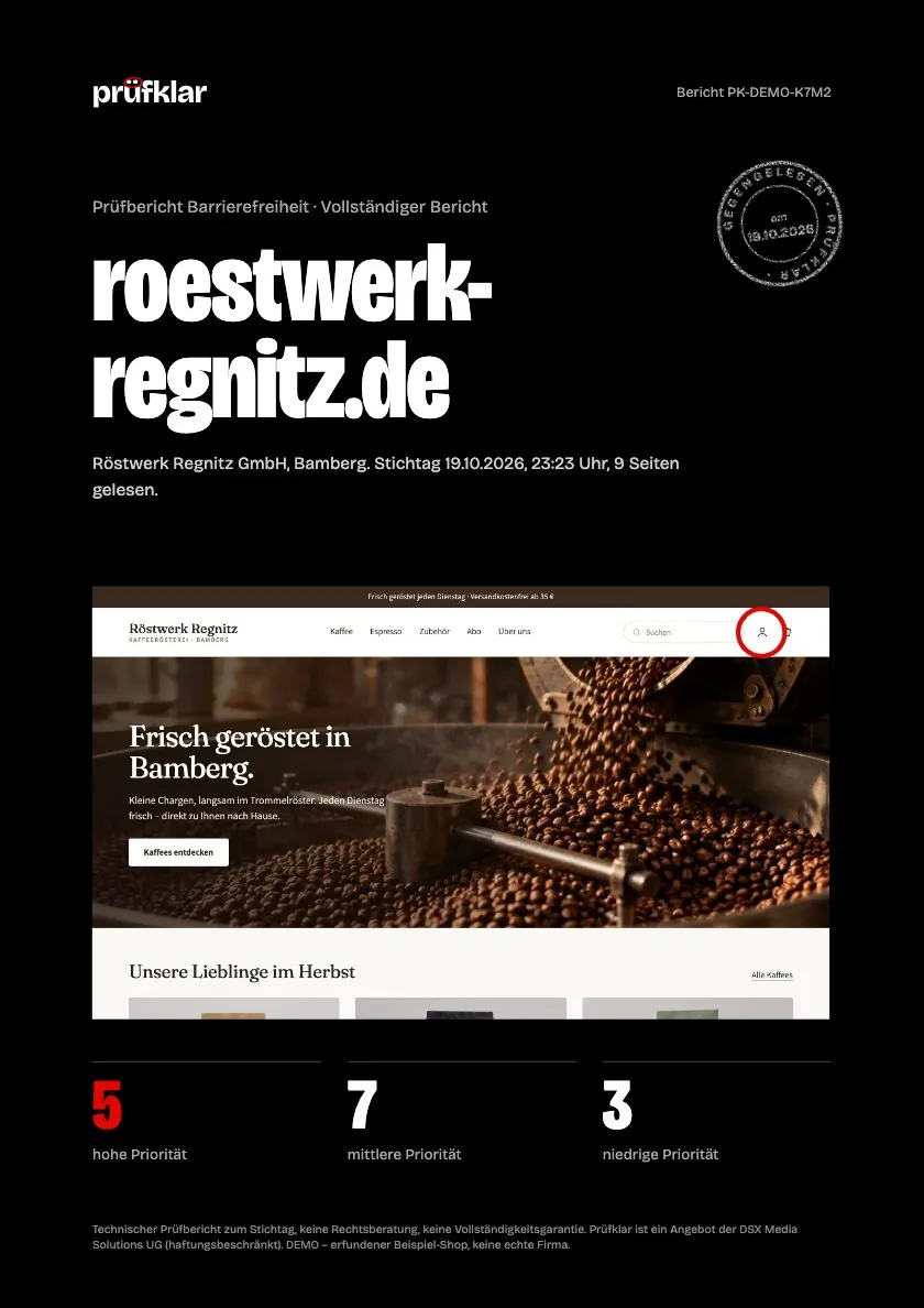 Deckblatt des Musterberichts für roestwerk-regnitz.de.