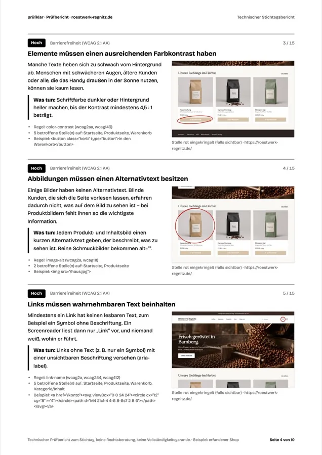 Befund-Seite: Elemente ohne ausreichenden Farbkontrast und Bilder ohne Alternativtext, jeweils mit Bildschirmfoto, Erklärung und Lösung.